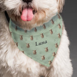 Personalised Highland Cow Dog Bandana - Shop At Gift Moments - 1