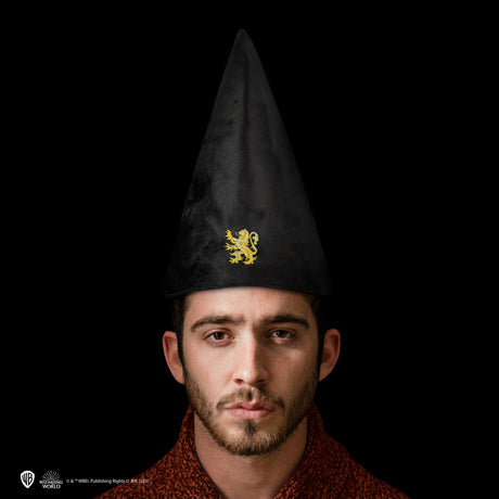 Gryffindor Student Hat - Shop Caps & Hats At Gift Moments - 1