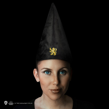 Gryffindor Student Hat - Shop Caps & Hats At Gift Moments - 2