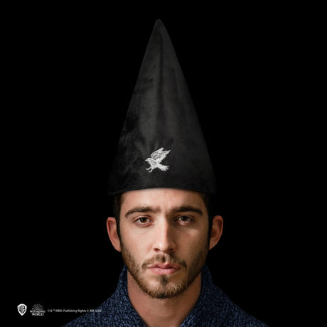 Student Hat - Ravenclaw - Shop Caps & Hats At Gift Moments - 1