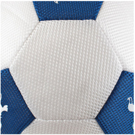 Tottenham Hotspur 14’’ Mesh Ball - Shop Balls At Gift Moments - 3