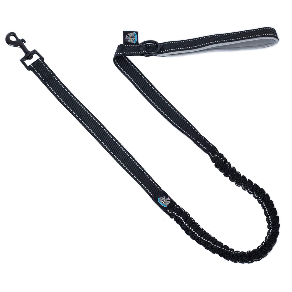 Newcastle United FC Reflective Dog Lead - Shop Pet Products At Gift Moments - 1