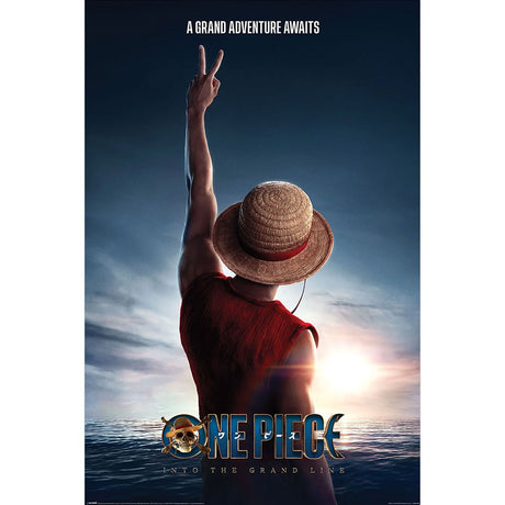 One Piece: Live Action Luffy Poster 55 - Shop Posters At Gift Moments - 1