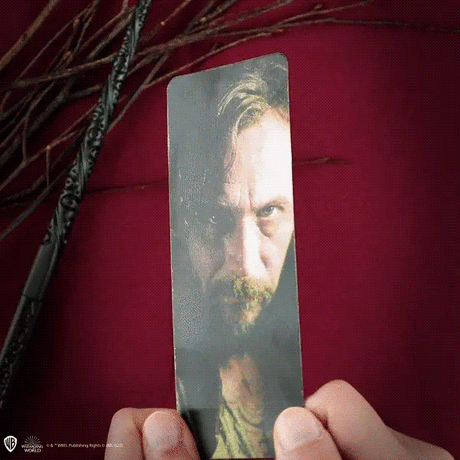 Sirius Black Wand Pen with Stand & Lenticular Bookmark - Shop Pens & Pencils At Gift Moments - 8