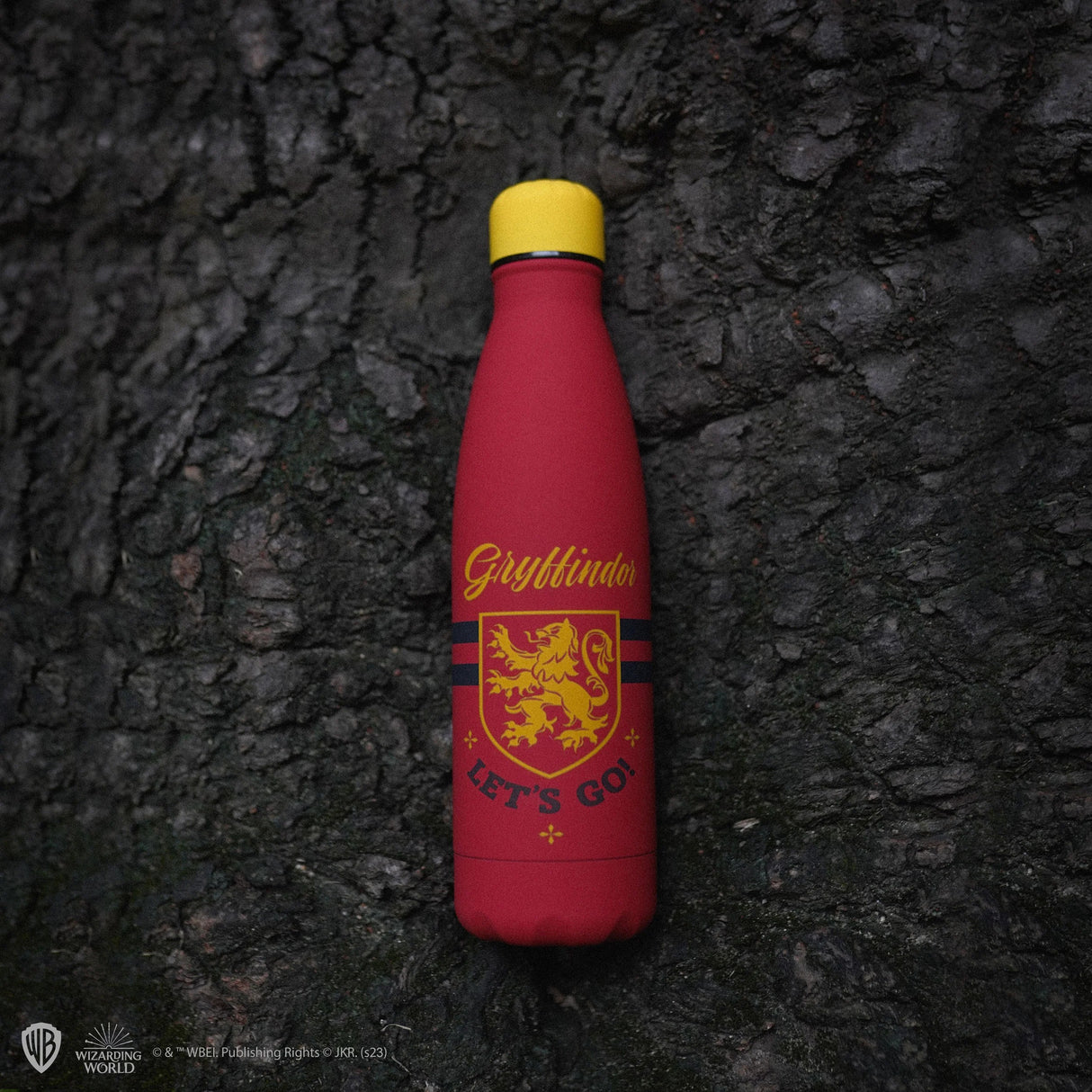 Let's Go Gryffindor Insulated Water Bottle