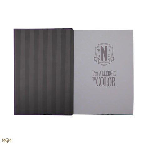 Wednesday and Enid Notebook - Shop Notebooks At Gift Moments - 4