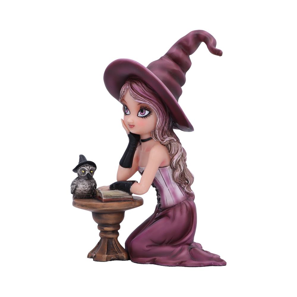 Agatha Witch Figurine 15cm - Shop Figures & Collectables At Gift Moments - 3