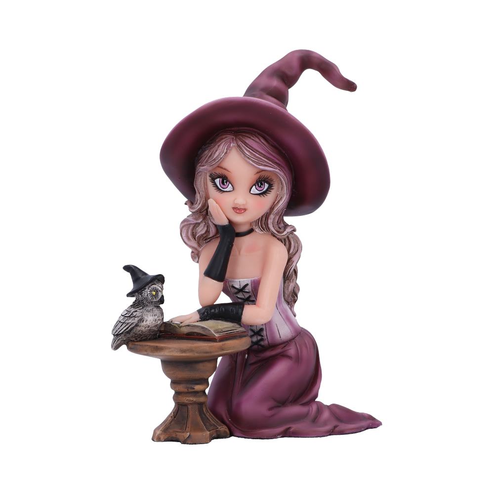 Agatha Witch Figurine 15cm - Shop Figures & Collectables At Gift Moments - 2
