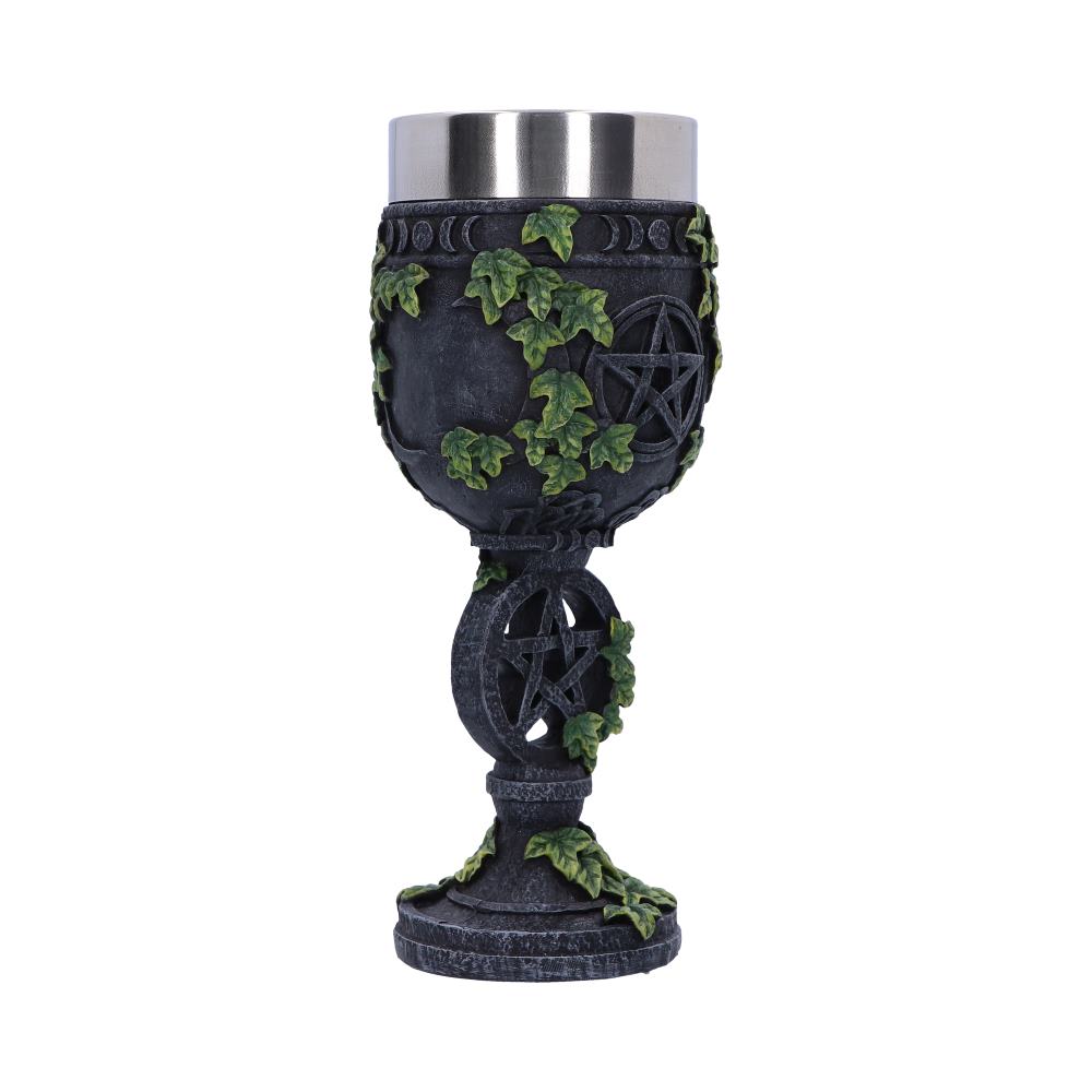Aged Wiccan Pentagram Goblet 19.5cm: 5 - Goblets & Chalices By NN Designs