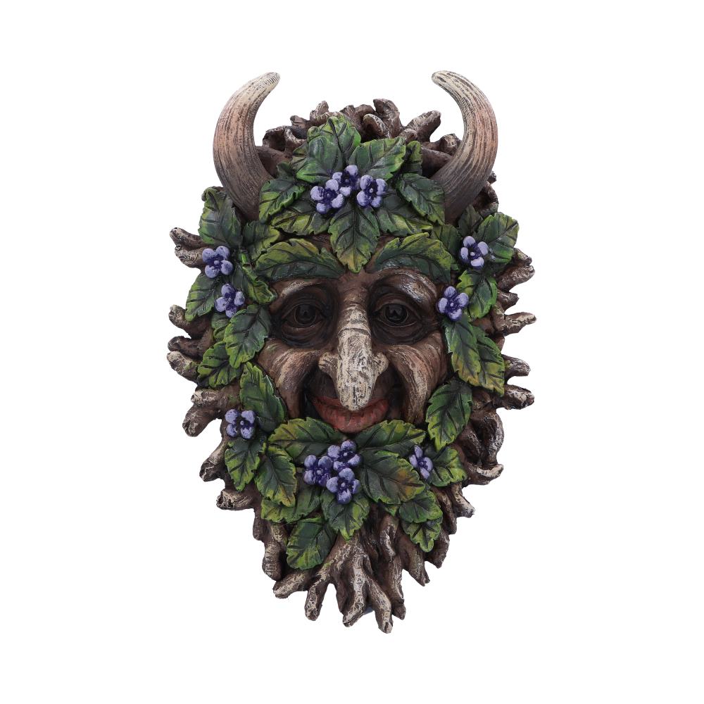 Alder Wall Mounted Tree Spirit 20.2cm: 2 - Wall Hanging Sculptures By Gift Moments