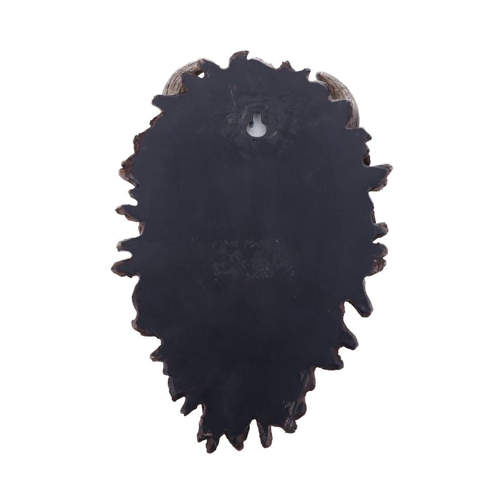 Alder Wall Mounted Tree Spirit 20.2cm: 4 - Wall Hanging Sculptures By Gift Moments