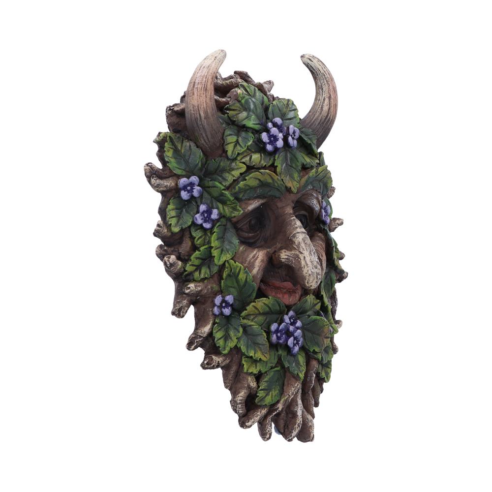Alder Wall Mounted Tree Spirit 20.2cm: 5 - Wall Hanging Sculptures By Gift Moments