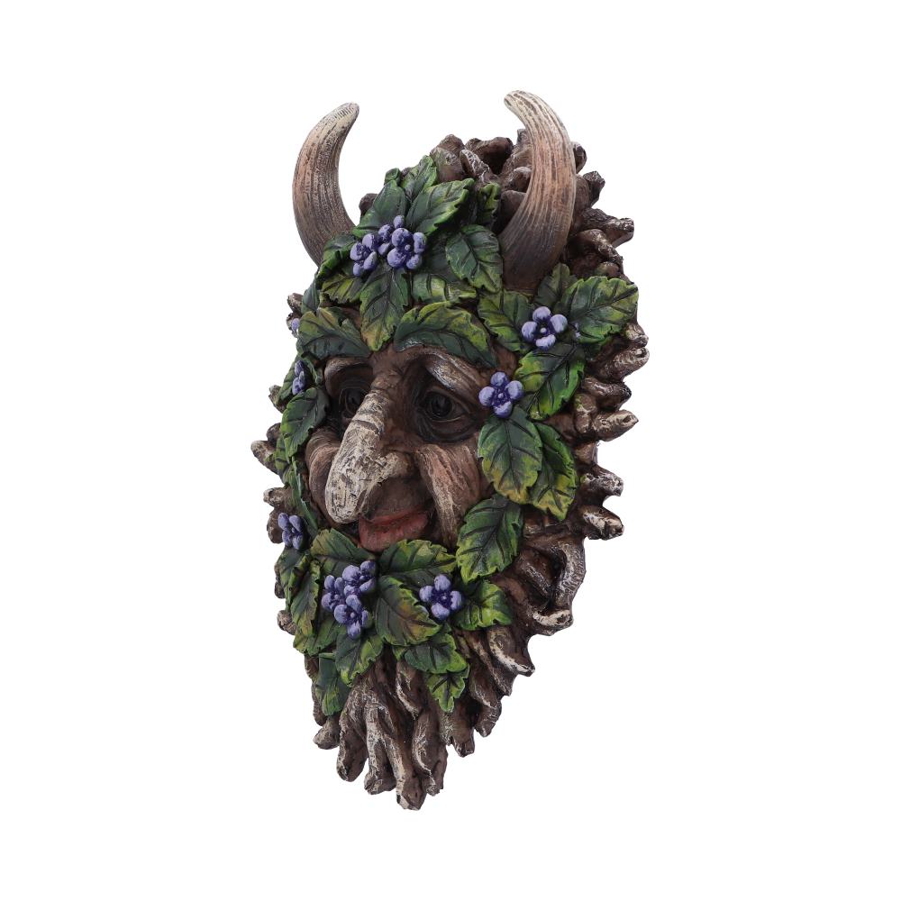 Alder Wall Mounted Tree Spirit 20.2cm: 3 - Wall Hanging Sculptures By Gift Moments