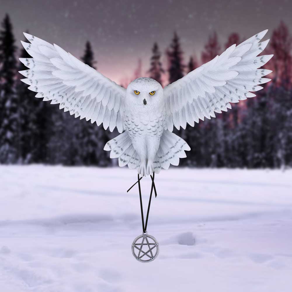 Anne Stokes Awaken your Magic Owl Pentagram Wall Plaque: 1 - Wall Hanging Sculptures By Anne Stokes