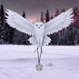 Anne Stokes Awaken your Magic Owl Pentagram Wall Plaque: 1 - Wall Hanging Sculptures By Anne Stokes
