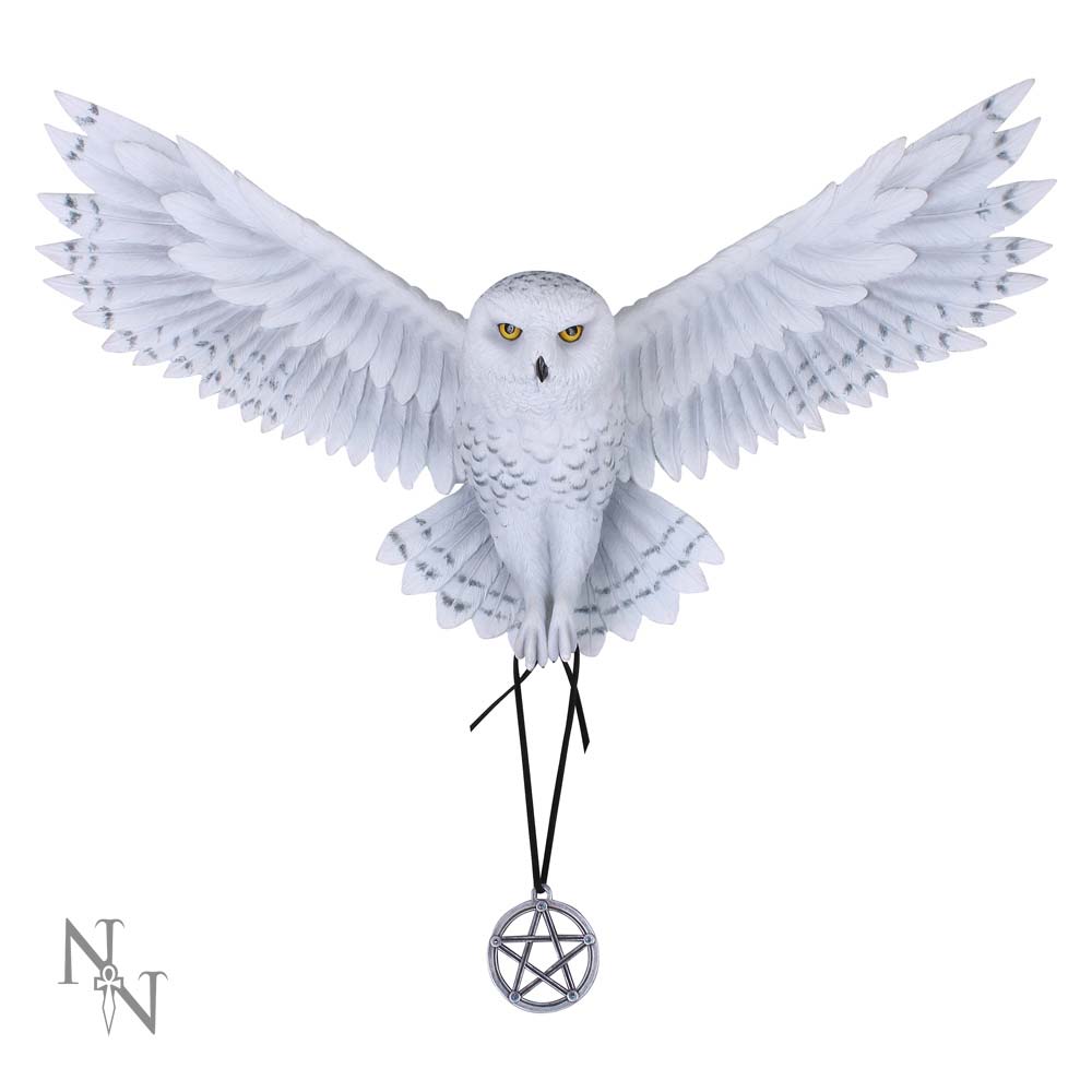 Anne Stokes Awaken your Magic Owl Pentagram Wall Plaque: 2 - Wall Hanging Sculptures By Anne Stokes