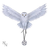 Anne Stokes Awaken your Magic Owl Pentagram Wall Plaque: 2 - Wall Hanging Sculptures By Anne Stokes
