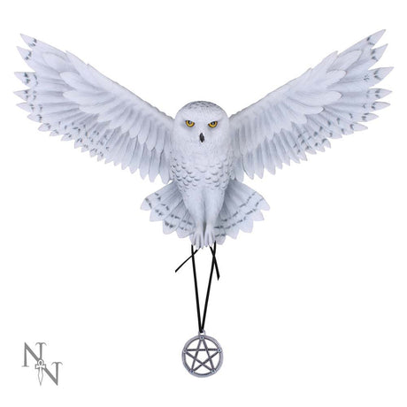 Anne Stokes Awaken your Magic Owl Pentagram Wall Plaque: 2 - Wall Hanging Sculptures By Anne Stokes
