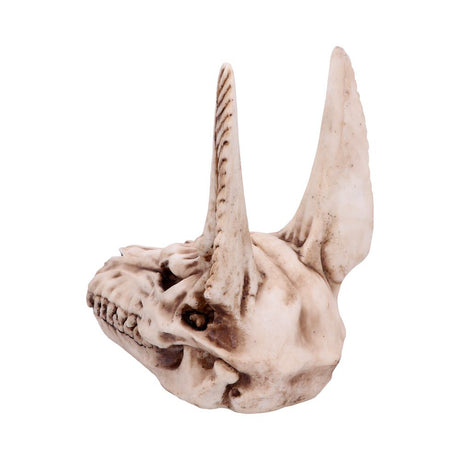 Anubis Egyptian God of the Dead Skull Ornament: 4 - Figures & Collectables By Gift Moments