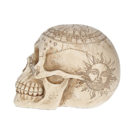 Astrological Skull Engraved With The Zodiac Circle 20cm: 4 - Figurines Medium (15-29cm) By Gift Moments
