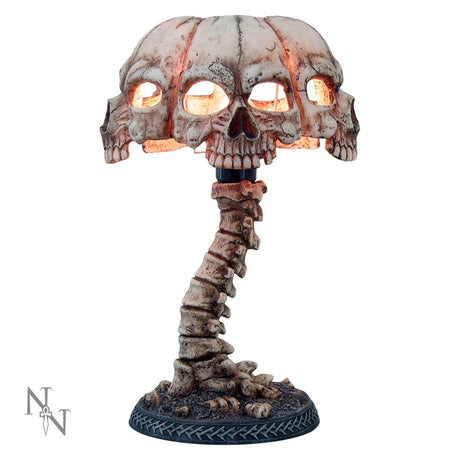 Atrocity Natural Bone Skull and Spine Lamp: 2 Lighting By Gift Moments