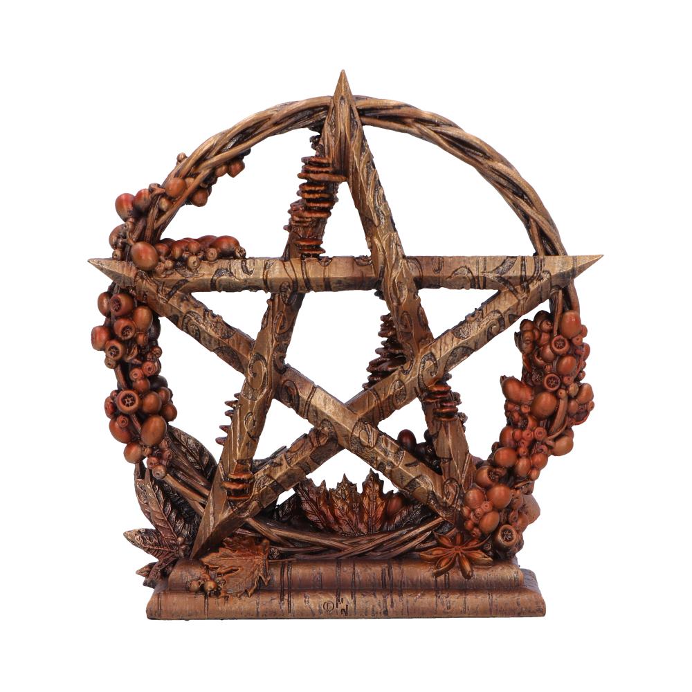 Autmnal Floral Decorative Pentagram Ornament - Shop Figures & Collectables At Gift Moments - 4