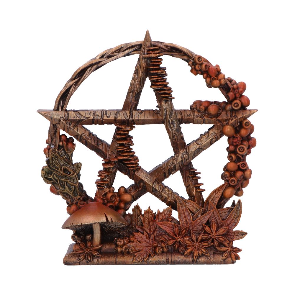 Autmnal Floral Decorative Pentagram Ornament - Shop Figures & Collectables At Gift Moments - 2