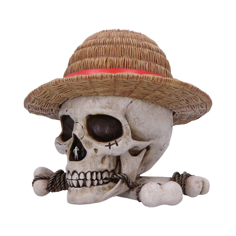 One Piece Luffy Jolly Roger Box - Shop Storage At Gift Moments - 3