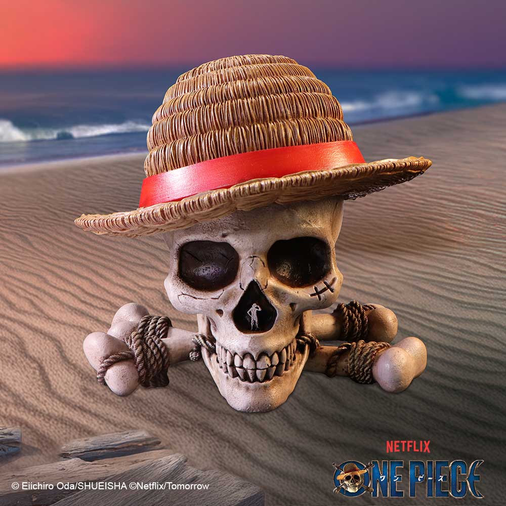 One Piece Luffy Jolly Roger Box - Shop Storage At Gift Moments - 1
