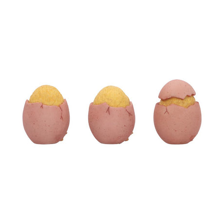 Three Wise Chicks Collectible Figurines 6.7cm - Shop Figurines Small (Under 15cm) At Gift Moments - 4