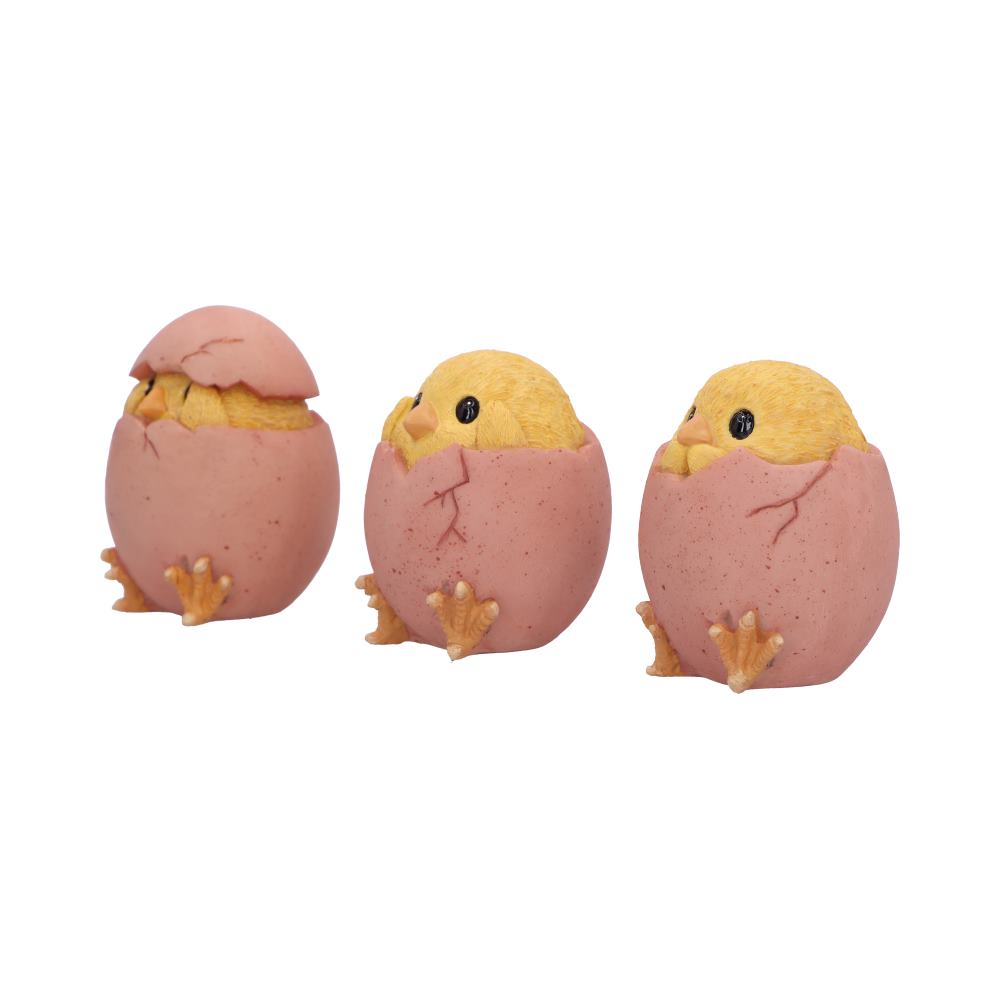 Three Wise Chicks Collectible Figurines 6.7cm - Shop Figurines Small (Under 15cm) At Gift Moments - 5