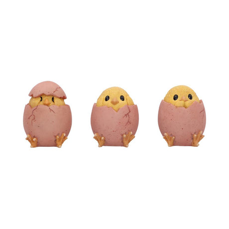 Three Wise Chicks Collectible Figurines 6.7cm - Shop Figurines Small (Under 15cm) At Gift Moments - 2