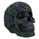 Aged Pentagram Skull Figurine