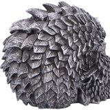 Scaled Remains Skull Figurine