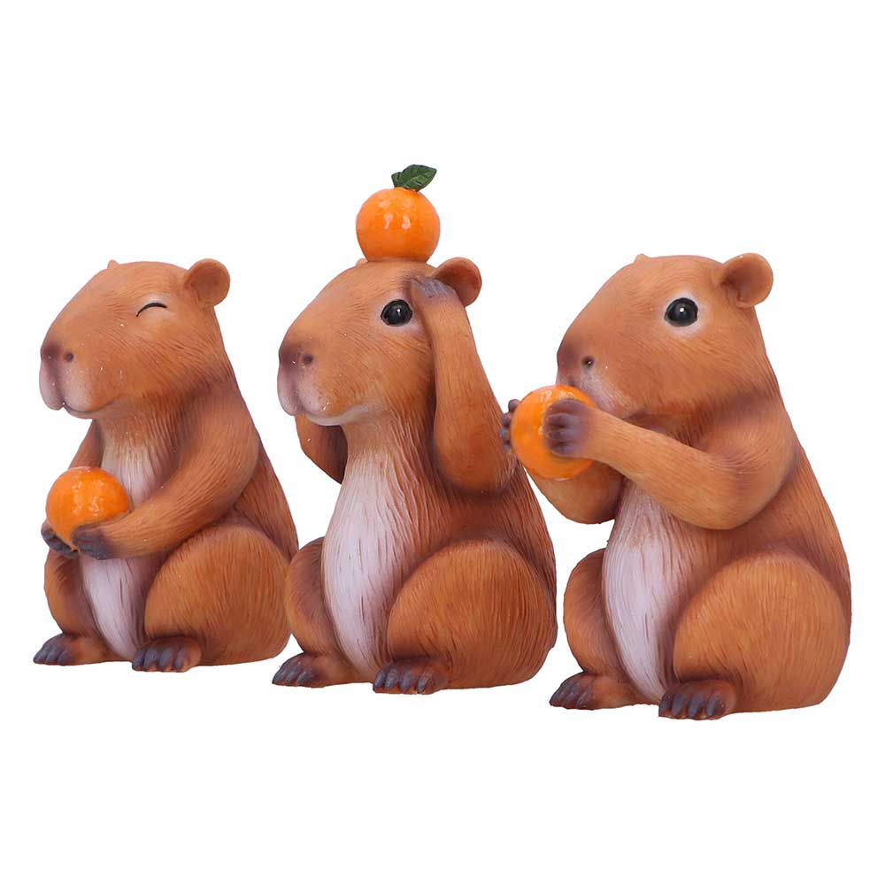 Three Wise Capybara
