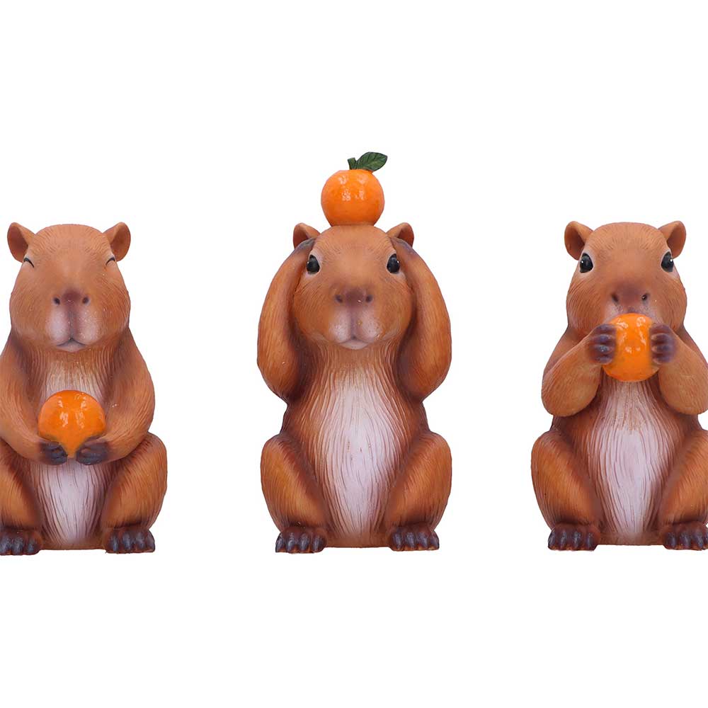 Three Wise Capybara