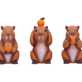 Three Wise Capybara