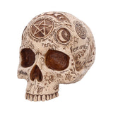 Apothecary Skull Figurine 14cm - Shop Figurines Medium (15-29cm) At Gift Moments - 3