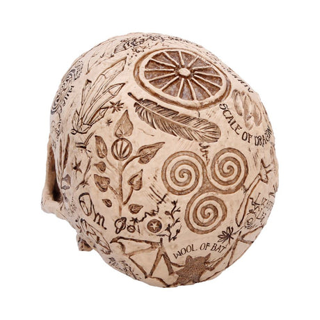 Apothecary Skull Figurine 14cm - Shop Figurines Medium (15-29cm) At Gift Moments - 5