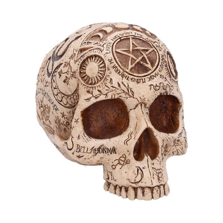 Apothecary Skull Figurine 14cm - Shop Figurines Medium (15-29cm) At Gift Moments - 2