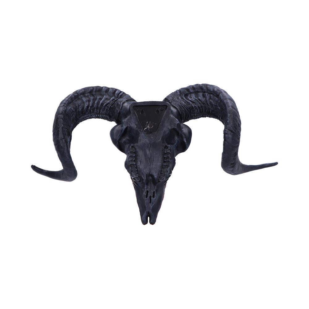Baphomet’s Veneration Skull Wall Plaque 53cm: 4 Wall Hanging Sculptures By Gift Moments