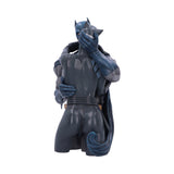 Batman & Catwoman DC Collectible Bust: 4 - Figures & Collectables By Batman