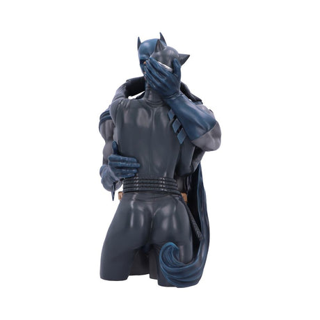 Batman & Catwoman DC Collectible Bust: 4 - Figures & Collectables By Batman