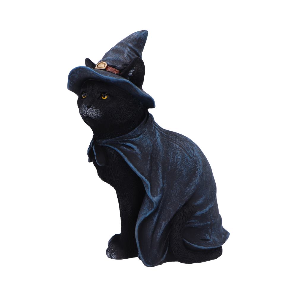 Bewitching Witch Cat Figurine 18.5cm: 3 - Figures & Collectables By Gift Moments
