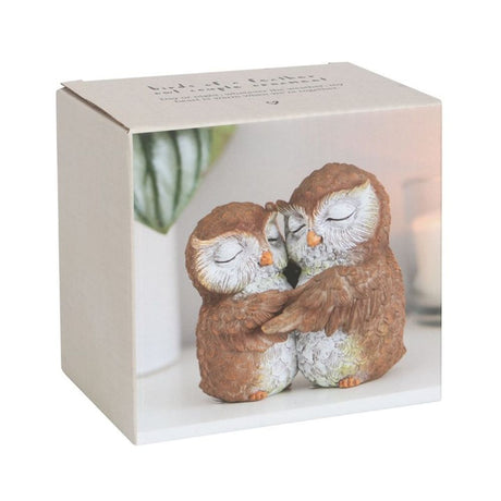 Birds of a Feather Owl Couple Ornament: 5 - Ornaments By Gift Moments
