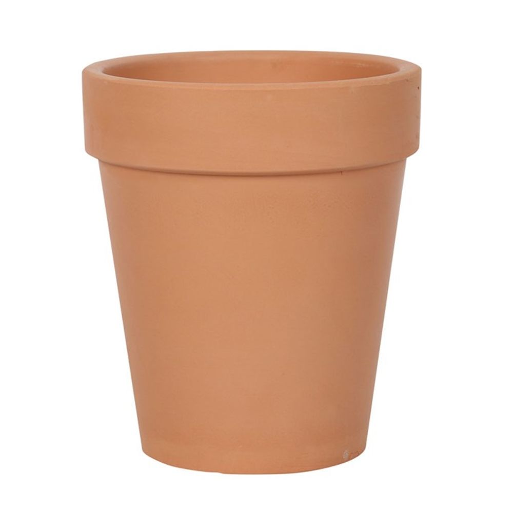 Bloom Where You Are Planted Terracotta Plant Pot: 2 - Pots & Planters By Gift Moments