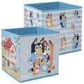Bluey Twin Pack Storage Cube - Shop Storage At Gift Moments - 1