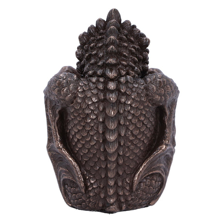 Bronze Dragon Snuggle Box: 4 Boxes By Gift Moments