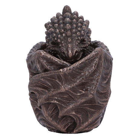 Bronze Dragon Snuggle Box: 2 Boxes By Gift Moments