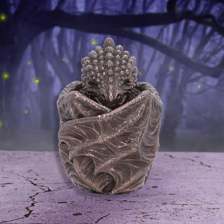 Bronze Dragon Snuggle Box: 1 Boxes By Gift Moments